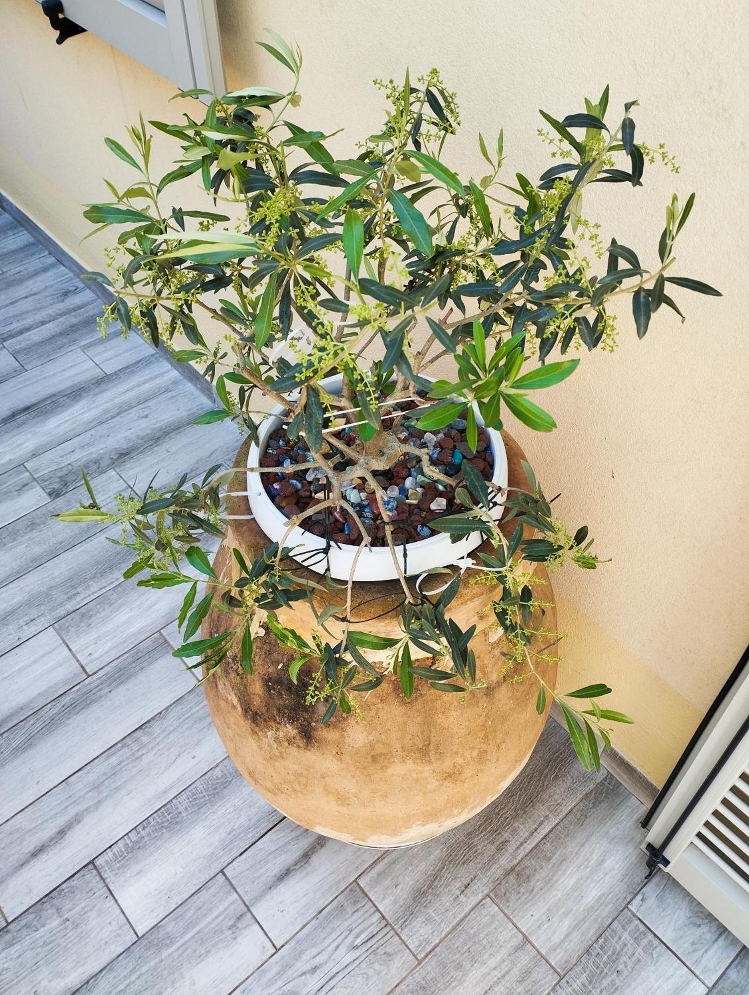 Pama Mar Apartment Imperia Luaran gambar